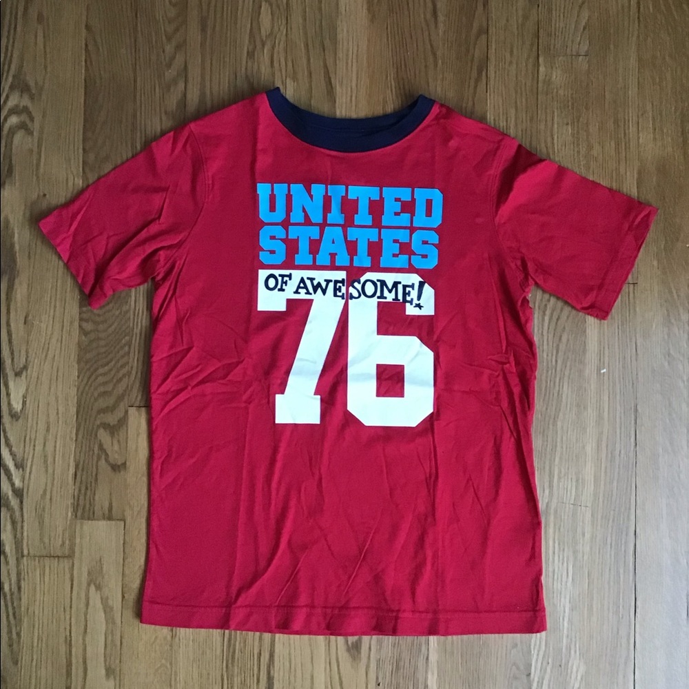 Lands End United States of Awesome Tee